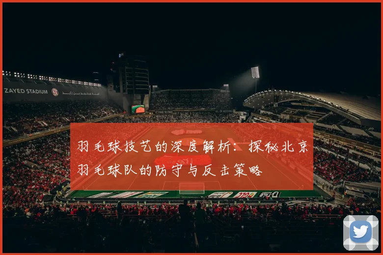 羽毛球技艺的深度解析：探秘北京羽毛球队的防守与反击策略