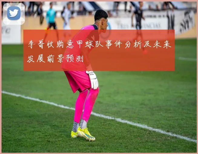 李哥收购意甲球队事件分析及未来发展前景预测