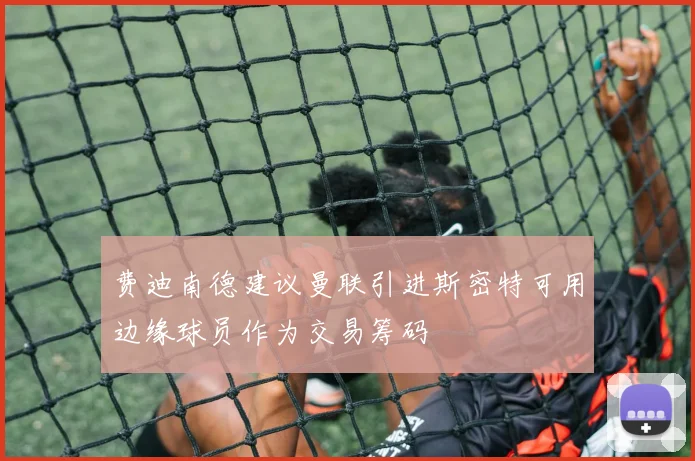 费迪南德建议曼联引进斯密特可用边缘球员作为交易筹码