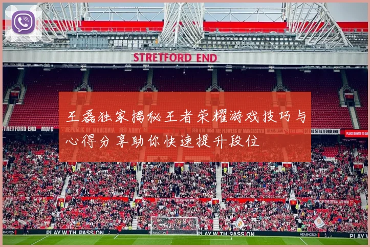 王磊独家揭秘王者荣耀游戏技巧与心得分享助你快速提升段位